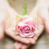 アドバイスしすぎは逆効果？深いリーディングができる人が答えを渡さない理由