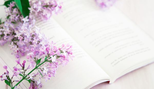 Blurry bright still life with open book and pink flowers. Pink color flowers over opened book. Selective focus used.