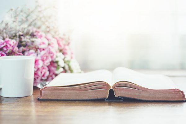 Holy bible with flowers on wooden table background against windo